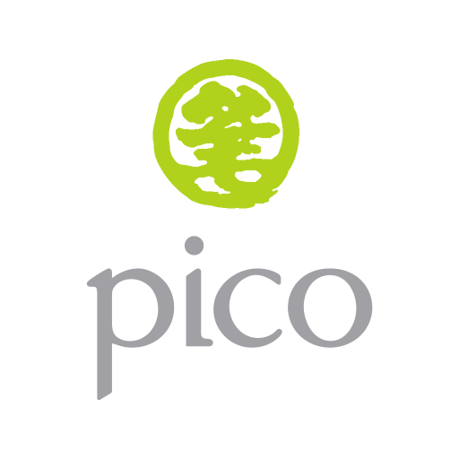 Pico Global Services Limited
